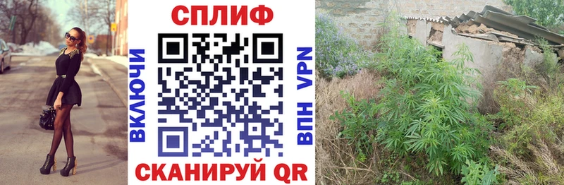 Какие есть наркотики Оренбург СОЛЬ Меф мяу мяу Лсд 25 Псилоцибиновые грибы Бошки Шишки ГАШИШ