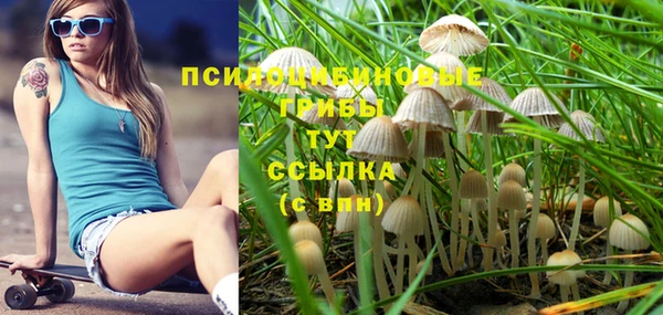прущая мука Абаза