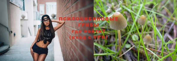 ешки Абдулино