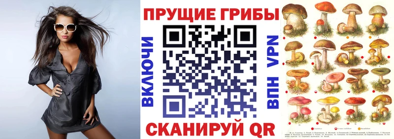 ОМГ ОМГ рабочий сайт  Оренбург  Псилоцибиновые грибы мухоморы 